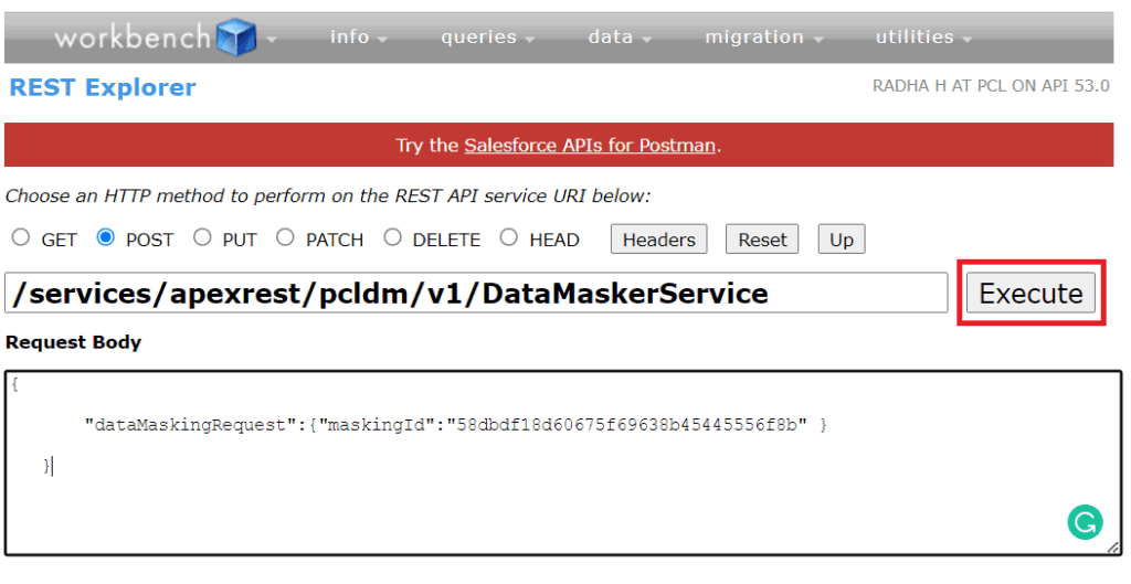 Salesforce Workbench REST Explorer page ready to execute DataMaskerService with a filled POST request body and highlighted Execute button.
