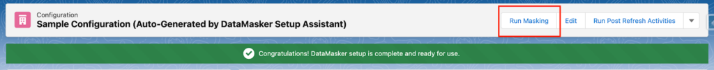 Click on ‘Run Masking’ on the Configuration page to initiate the masking process.