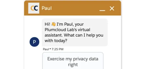 Chat window with a virtual assistant named Paul from Plumcloud Labs,